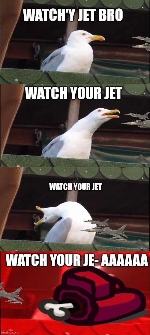 Inhaling Seagull Meme | WATCH'Y JET BRO; WATCH YOUR JET; WATCH YOUR JET; WATCH YOUR JE- AAAAAA | image tagged in memes,inhaling seagull | made w/ Imgflip meme maker