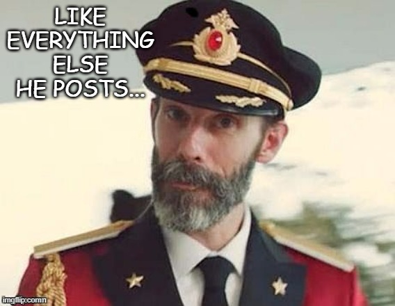Captain Obvious | LIKE EVERYTHING ELSE HE POSTS... | image tagged in captain obvious | made w/ Imgflip meme maker