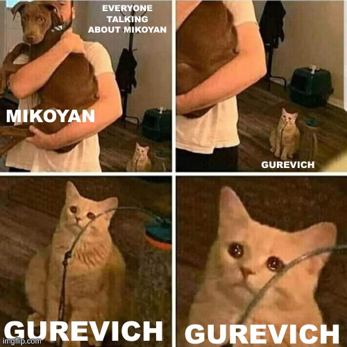 MiG means Mikoyan Gurevich, for those who don't know. | EVERYONE TALKING ABOUT MIKOYAN; MIKOYAN; GUREVICH; GUREVICH; GUREVICH | image tagged in sad cat holding dog | made w/ Imgflip meme maker