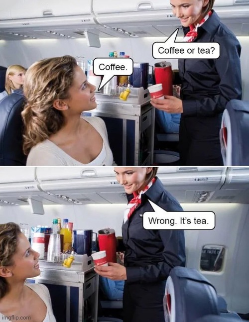 Service with a Smile | image tagged in mocking,flight attendant,don't worry be happy,drink tea,and like it | made w/ Imgflip meme maker
