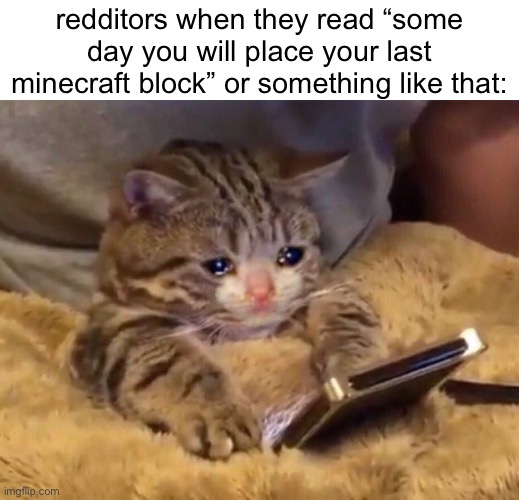those posts are so cringe bro… | redditors when they read “some day you will place your last minecraft block” or something like that: | image tagged in sad cat phone,cringe,reddit,minecraft,memes,i forgor | made w/ Imgflip meme maker
