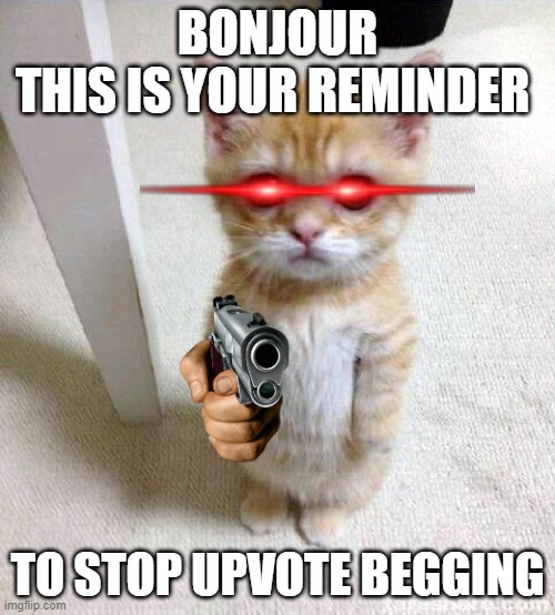 Cute Cat Meme | BONJOUR
THIS IS YOUR REMINDER; TO STOP UPVOTE BEGGING | image tagged in memes,cute cat | made w/ Imgflip meme maker