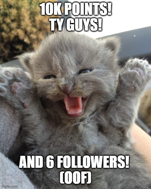 10K POINTS!!!!!! | 10K POINTS!
TY GUYS! AND 6 FOLLOWERS! 
(OOF) | image tagged in yay kitty | made w/ Imgflip meme maker