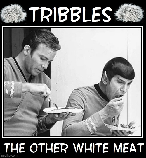 After a hard day fighting Klingons it's nice to enjoy a quiet lunch | image tagged in vince vance,star trek,captain kirk,mr spock,tribbles,the other white meat | made w/ Imgflip meme maker