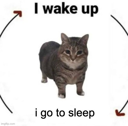 fr | i go to sleep | image tagged in i wake up cat | made w/ Imgflip meme maker