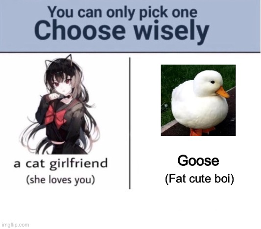 Choose wisely | Goose; (Fat cute boi) | image tagged in choose wisely | made w/ Imgflip meme maker