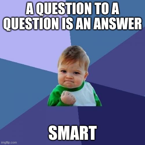 Success Kid Meme | A QUESTION TO A QUESTION IS AN ANSWER; SMART | image tagged in memes,success kid | made w/ Imgflip meme maker