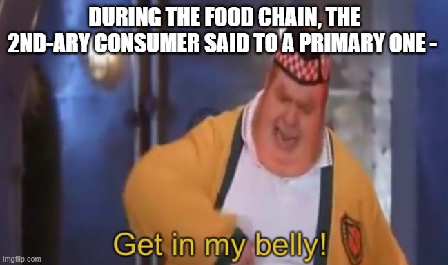 During the food chain.... | DURING THE FOOD CHAIN, THE 2ND-ARY CONSUMER SAID TO A PRIMARY ONE - | image tagged in get in my belly,food chain,memetime | made w/ Imgflip meme maker