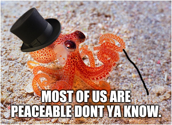 Sir octopus | MOST OF US ARE PEACEABLE DONT YA KNOW. | image tagged in sir octopus | made w/ Imgflip meme maker