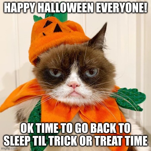 HAPPY HALLOWEEN!!! ??? | HAPPY HALLOWEEN EVERYONE! OK TIME TO GO BACK TO SLEEP TIL TRICK OR TREAT TIME | image tagged in grumpy cat halloween | made w/ Imgflip meme maker