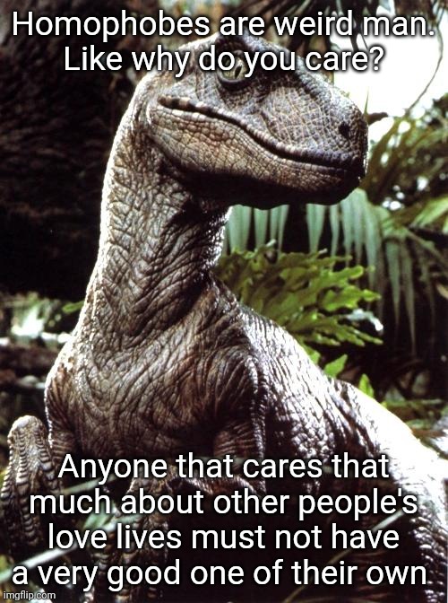 Velociraptor | Homophobes are weird man.
Like why do you care? Anyone that cares that much about other people's love lives must not have a very good one of their own | image tagged in velociraptor | made w/ Imgflip meme maker