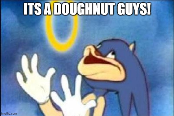 Sonic derp | ITS A DOUGHNUT GUYS! | image tagged in sonic derp | made w/ Imgflip meme maker