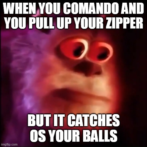 Monster inc. | WHEN YOU COMANDO AND YOU PULL UP YOUR ZIPPER; BUT IT CATCHES OS YOUR BALLS | image tagged in monster inc | made w/ Imgflip meme maker