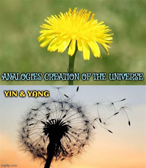 Universe Analogies | ANALOGIES CREATION OF THE UNIVERSE; YIN & YANG | image tagged in universe,analogies,creation,symmetry,peace,love | made w/ Imgflip meme maker