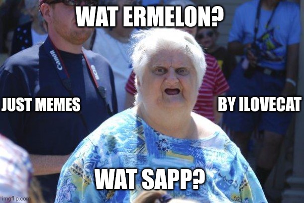 Wat lady to memes (by me) | WAT ERMELON? JUST MEMES; BY ILOVECAT; WAT SAPP? | image tagged in wat lady,funny,memes,hot | made w/ Imgflip meme maker