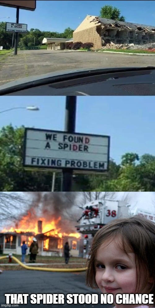 spider | THAT SPIDER STOOD NO CHANCE | image tagged in memes,disaster girl | made w/ Imgflip meme maker