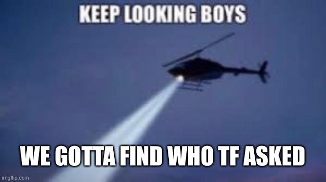Keep looking boys | WE GOTTA FIND WHO TF ASKED | image tagged in keep looking boys | made w/ Imgflip meme maker