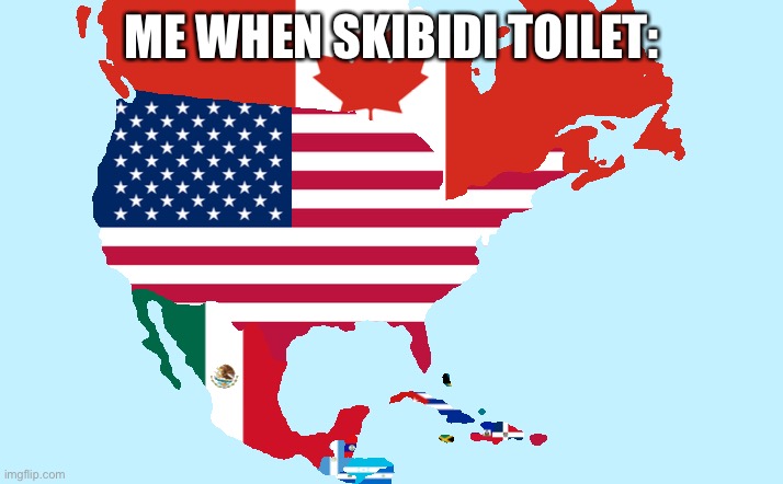 Goofy ahh meme | ME WHEN SKIBIDI TOILET: | image tagged in north america,skibidi toilet | made w/ Imgflip meme maker