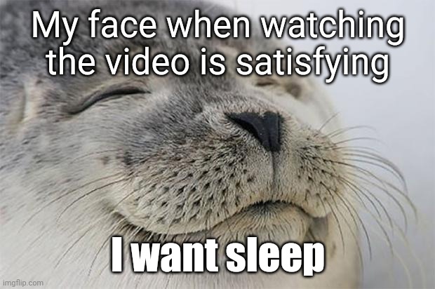 Satisfied Seal | My face when watching the video is satisfying; I want sleep | image tagged in memes,satisfied seal | made w/ Imgflip meme maker
