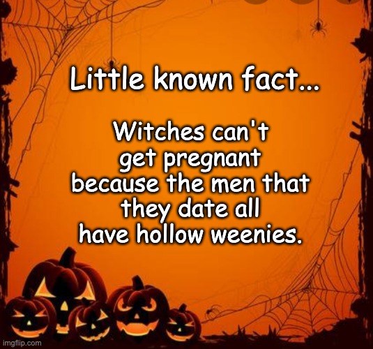 Witch | Little known fact... Witches can't get pregnant because the men that they date all have hollow weenies. | image tagged in type the word halloween in gifs | made w/ Imgflip meme maker