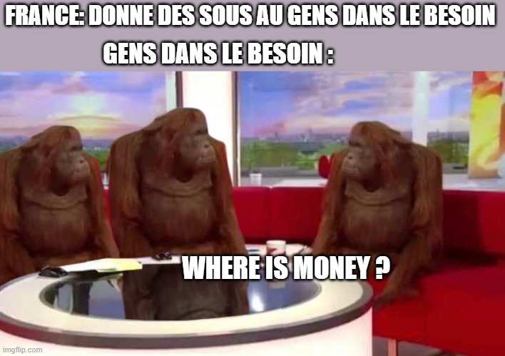 french way to ditribute money | FRANCE: DONNE DES SOUS AU GENS DANS LE BESOIN; GENS DANS LE BESOIN :; WHERE IS MONEY ? | image tagged in where monkey | made w/ Imgflip meme maker