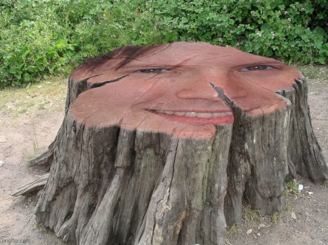 patrick stump | image tagged in patrick stump | made w/ Imgflip meme maker