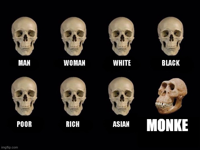 empty skulls of truth | MONKE | image tagged in empty skulls of truth | made w/ Imgflip meme maker
