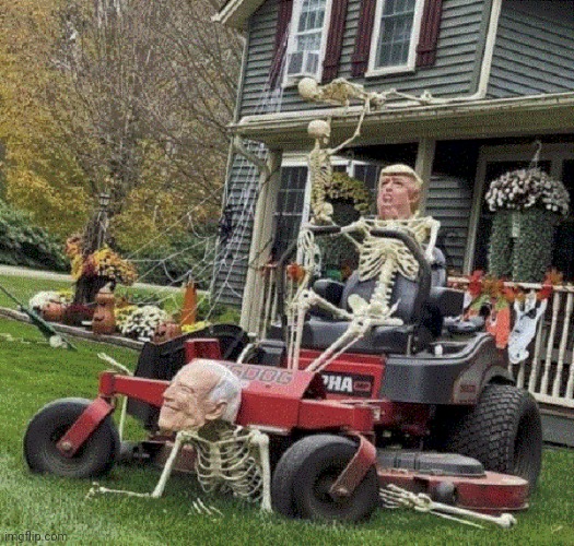 Best Halloween Decoration 2024 Imgflip   84f0wk 