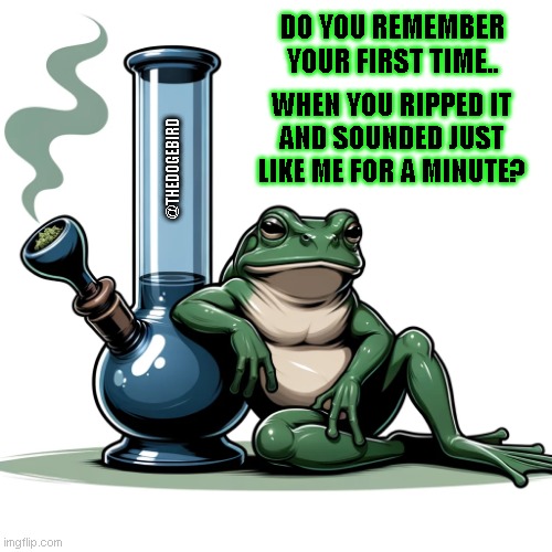 Do you remember your first time? | DO YOU REMEMBER
YOUR FIRST TIME.. WHEN YOU RIPPED IT
AND SOUNDED JUST
LIKE ME FOR A MINUTE? @THEDOGEBIRD | image tagged in bong,weed,first time | made w/ Imgflip meme maker