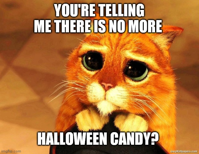 No more Halloween Candy | YOU'RE TELLING ME THERE IS NO MORE; HALLOWEEN CANDY? | image tagged in puss in boots shrek cat begging,funny memes | made w/ Imgflip meme maker