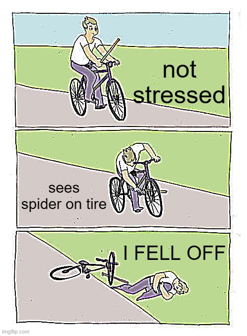 lol | not stressed; sees spider on tire; I FELL OFF | image tagged in memes,bike fall | made w/ Imgflip meme maker