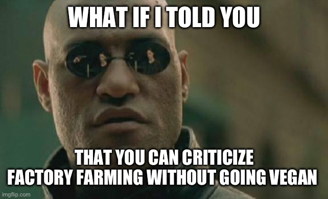 Factory farming is pretty bad, but going vegan is not the answer | WHAT IF I TOLD YOU; THAT YOU CAN CRITICIZE FACTORY FARMING WITHOUT GOING VEGAN | image tagged in memes,matrix morpheus | made w/ Imgflip meme maker