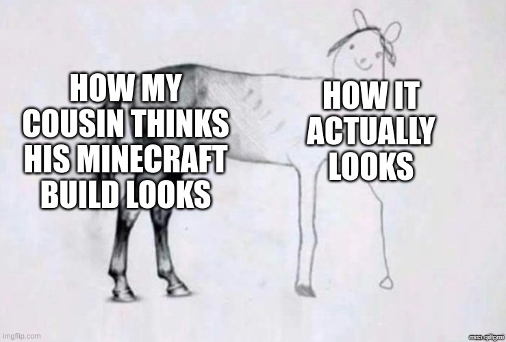 wat da frick | HOW MY COUSIN THINKS HIS MINECRAFT BUILD LOOKS; HOW IT ACTUALLY LOOKS | image tagged in horse drawing | made w/ Imgflip meme maker