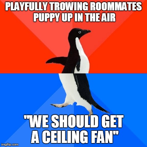 Socially Awesome Awkward Penguin | PLAYFULLY TROWING ROOMMATES PUPPY UP IN THE AIR "WE SHOULD GET A CEILING FAN" | image tagged in memes,socially awesome awkward penguin,AdviceAnimals | made w/ Imgflip meme maker