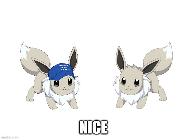 NICE | made w/ Imgflip meme maker