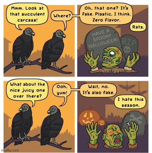 Spooky Halloween | image tagged in happy halloween,halloween,birds,bird,comics,comics/cartoons | made w/ Imgflip meme maker
