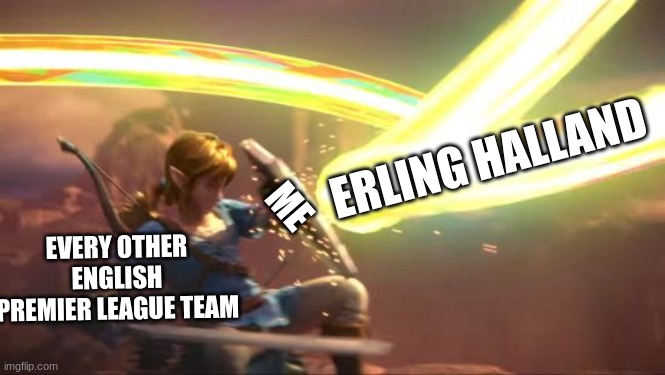 premier league | ERLING HALLAND; ME; EVERY OTHER ENGLISH PREMIER LEAGUE TEAM | image tagged in link defense world of light | made w/ Imgflip meme maker