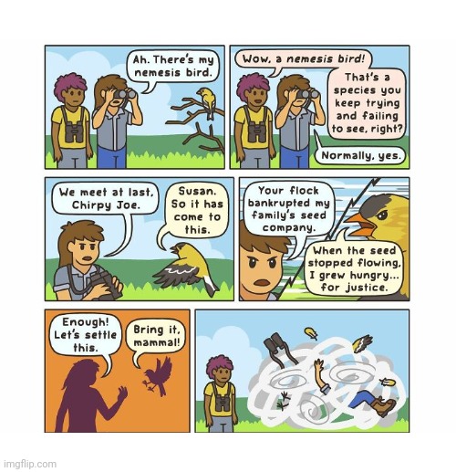Nemesis bird | image tagged in nemesis,bird,fight,birds,comics,comics/cartoons | made w/ Imgflip meme maker