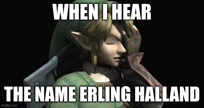 Erling Halland | WHEN I HEAR; THE NAME ERLING HALLAND | image tagged in link facepalm | made w/ Imgflip meme maker