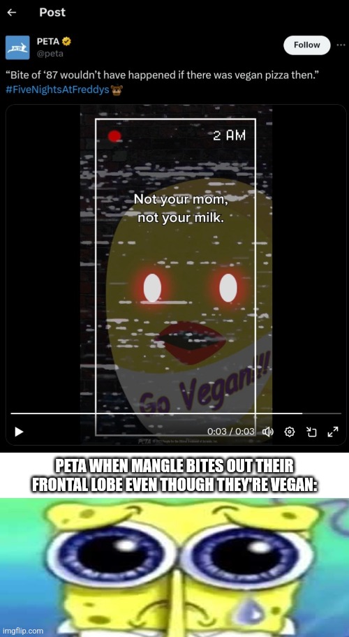 That's not why the bite of '87 happened, learn the FNAF lore | PETA WHEN MANGLE BITES OUT THEIR FRONTAL LOBE EVEN THOUGH THEY'RE VEGAN: | image tagged in sad spong | made w/ Imgflip meme maker