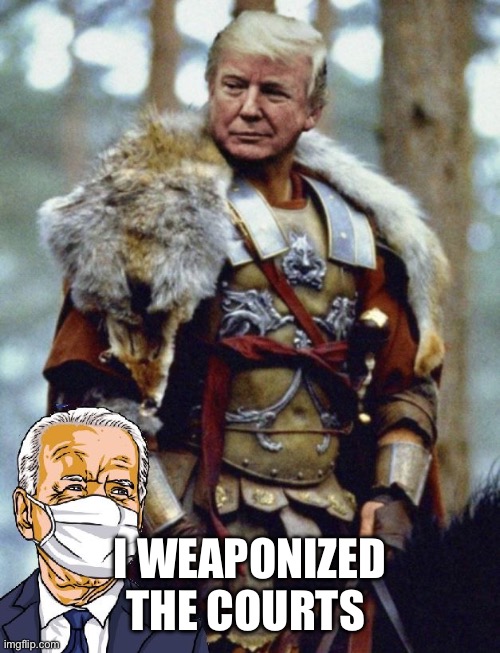 Trump’s so cool | I WEAPONIZED THE COURTS | image tagged in trump s so cool | made w/ Imgflip meme maker