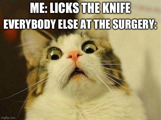 Mmm tasty | EVERYBODY ELSE AT THE SURGERY:; ME: LICKS THE KNIFE | image tagged in memes,scared cat | made w/ Imgflip meme maker