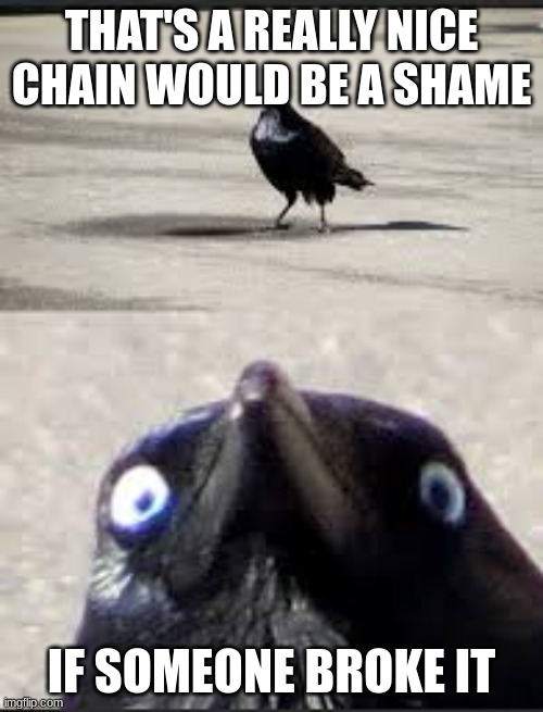 Use this to break chains if you that kinda guy or girl | THAT'S A REALLY NICE CHAIN WOULD BE A SHAME; IF SOMEONE BROKE IT | image tagged in it would be a shame bird | made w/ Imgflip meme maker
