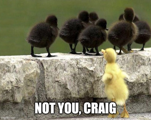 Excluded | NOT YOU, CRAIG | image tagged in excluded | made w/ Imgflip meme maker