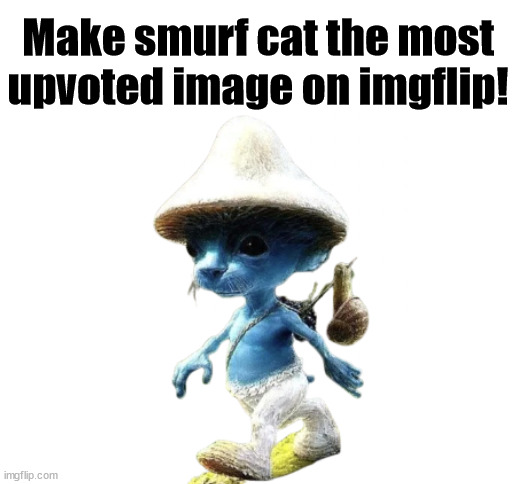 blue smurf cat | Make smurf cat the most upvoted image on imgflip! | image tagged in upvote | made w/ Imgflip meme maker