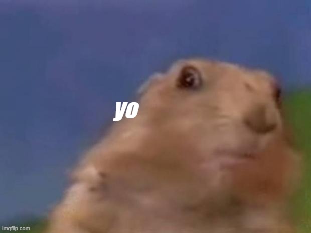 Dramatic Prairie Dog | yo | image tagged in dramatic prairie dog | made w/ Imgflip meme maker