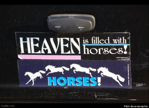 i know a guy who got filled by a horse | made w/ Imgflip meme maker