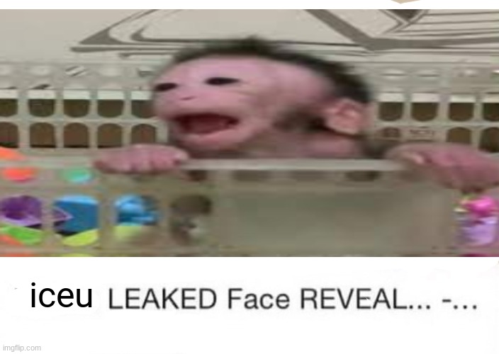 monke | iceu | image tagged in dream leaked face reveal,funny,memes,trending,front page plz | made w/ Imgflip meme maker