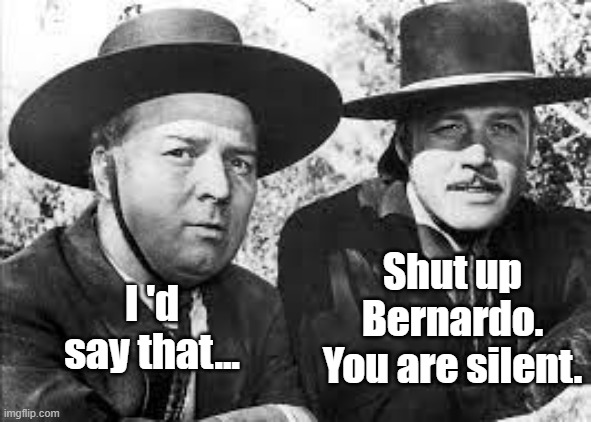 Bernardo | Shut up Bernardo. You are silent. I 'd say that... | image tagged in zoro | made w/ Imgflip meme maker