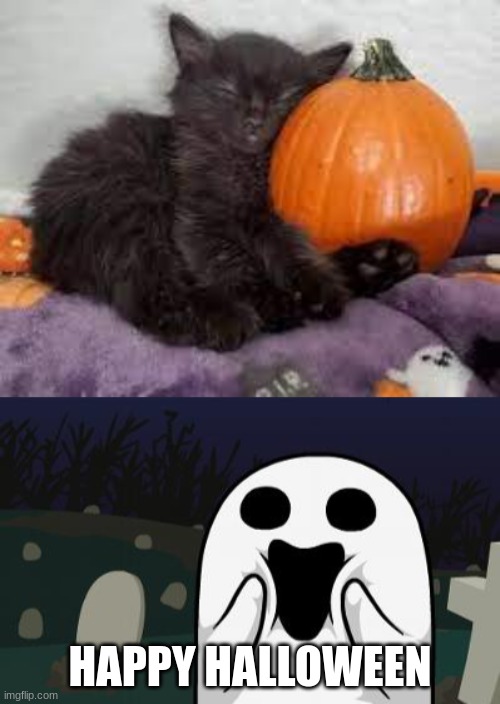 black kitten | HAPPY HALLOWEEN | image tagged in halloween | made w/ Imgflip meme maker